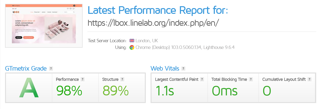 Performance Report by GTMetrix and Google Speed Insight